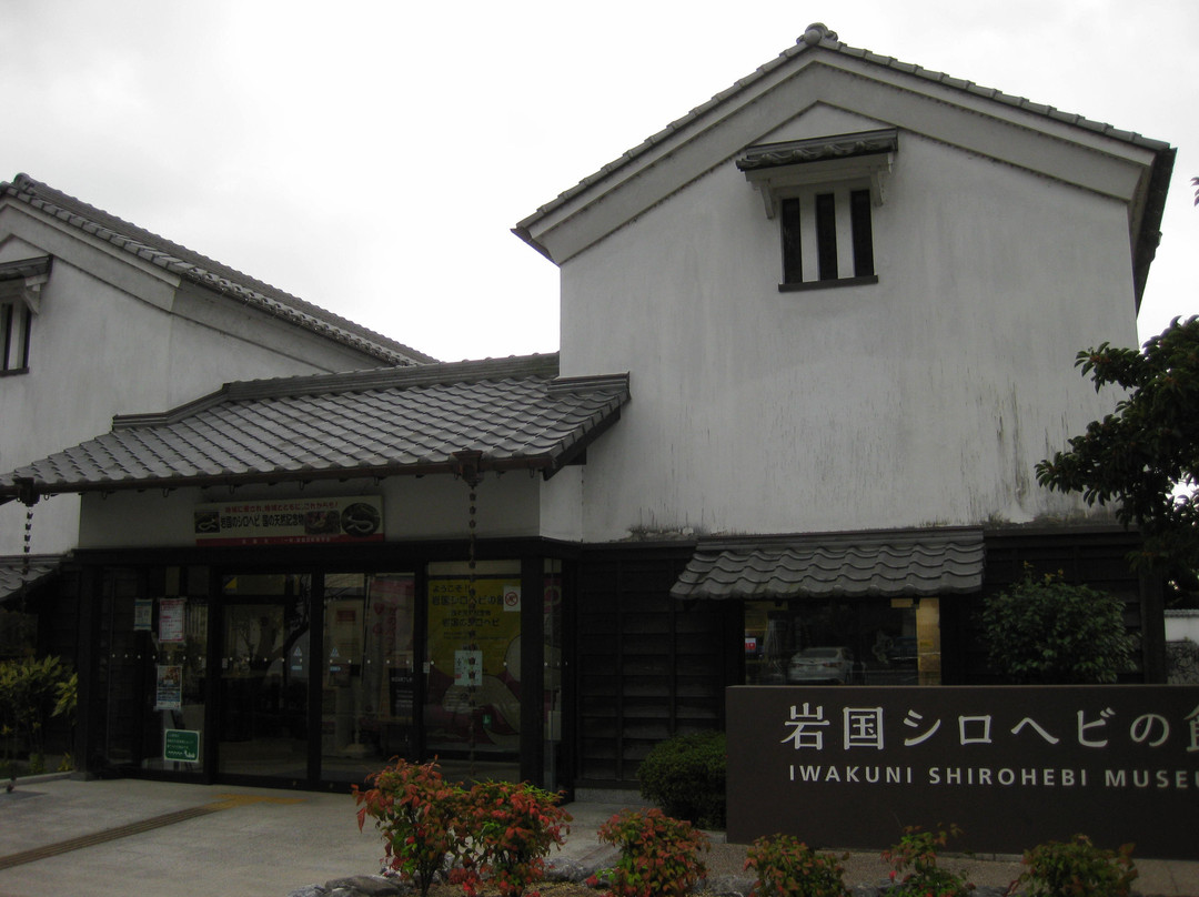 Iwakuni Shirohebi Museum-岩国市必去景点