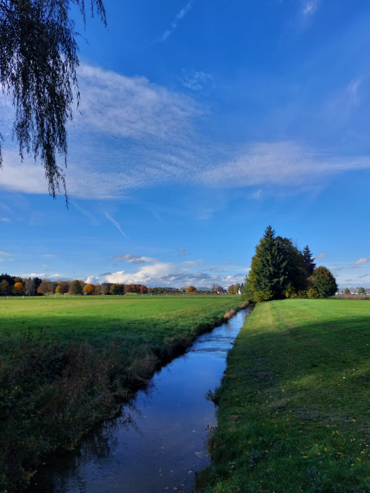 Kneipp- und WellVitalhotel Edelweiss-官方