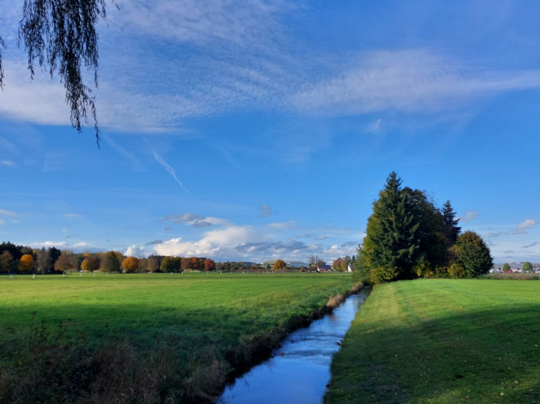 Kneipp- und WellVitalhotel Edelweiss主图