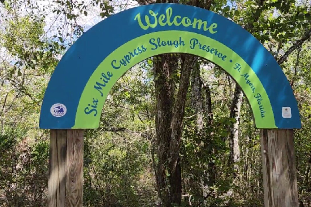Six Mile Cypress Slough Preserve-迈尔斯堡必去景点