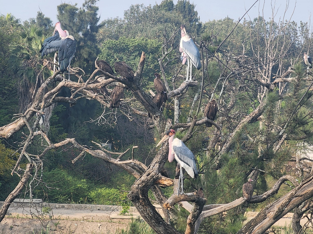 Hawassa Lake View Hotel主图