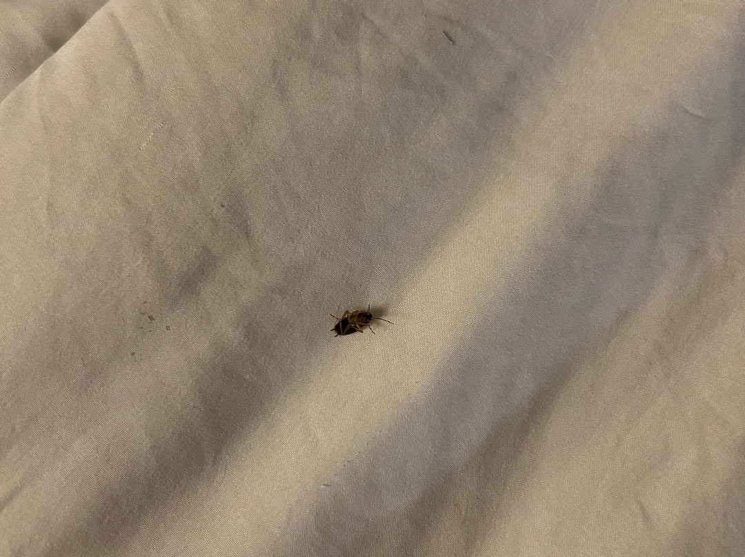 Quality Inn & Suites主图