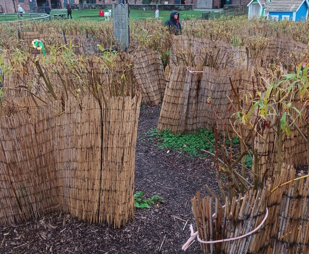 Newham Grange Farm-米德尔斯堡必去景点