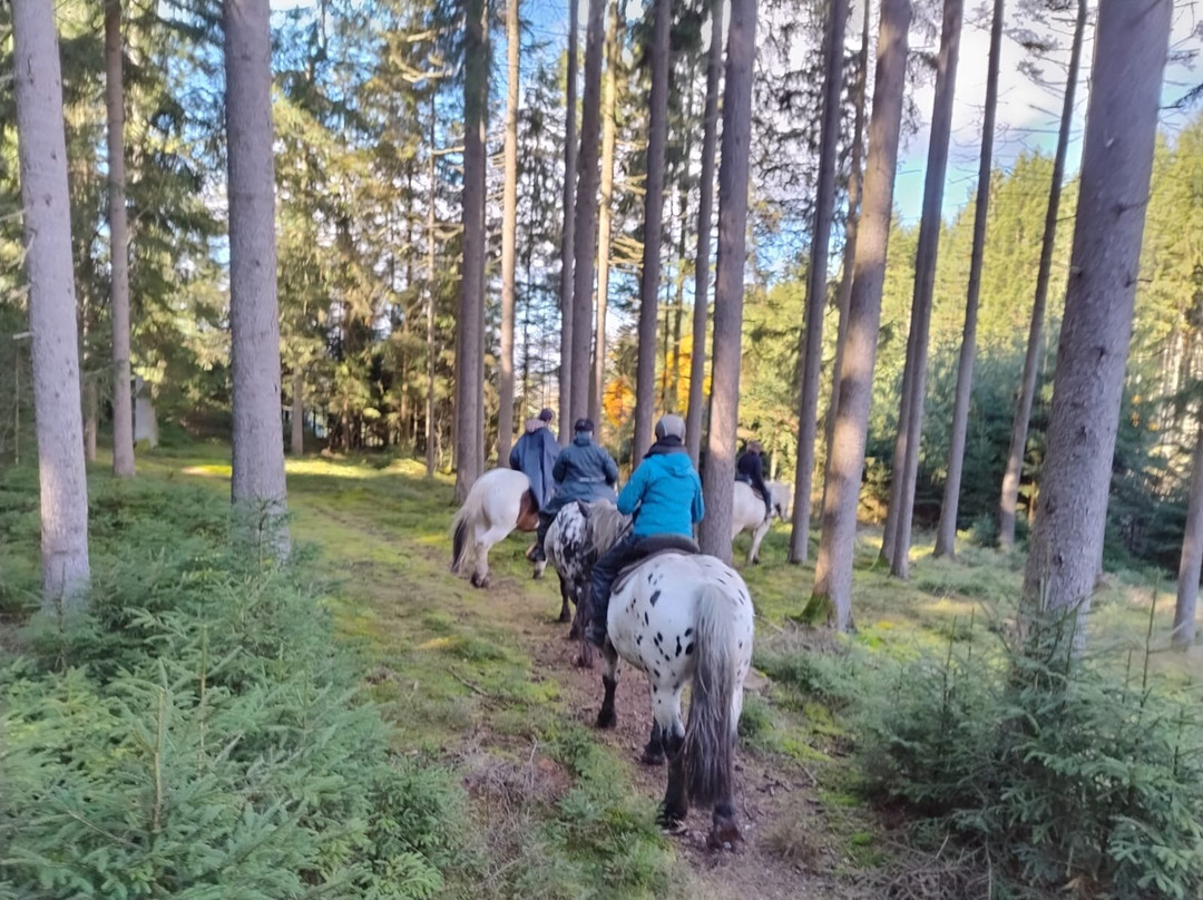 Tigerhill Ranch主图