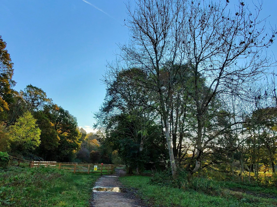 Millenium Walkway-New Mills必去景点