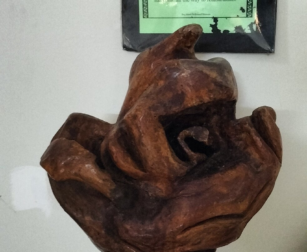 Bay Island Driftwood Museum-科塔亚姆必去景点