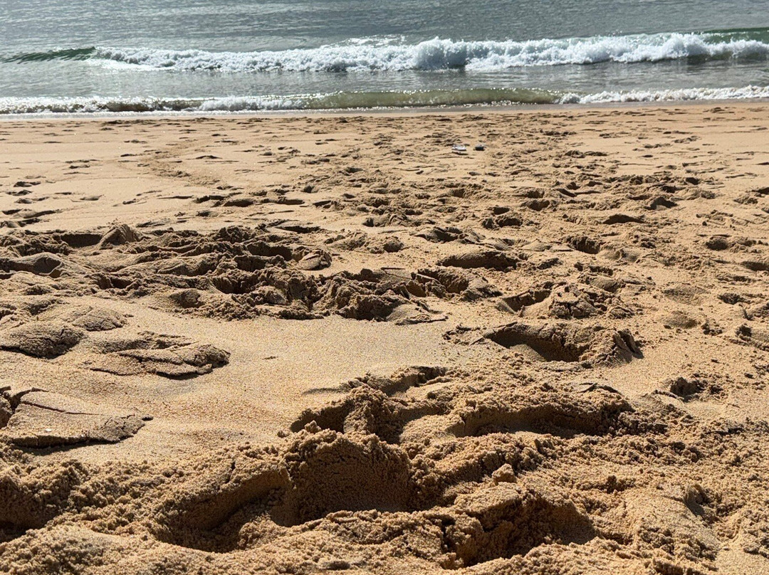 Praia de Vilamoura-维拉摩拉必去景点