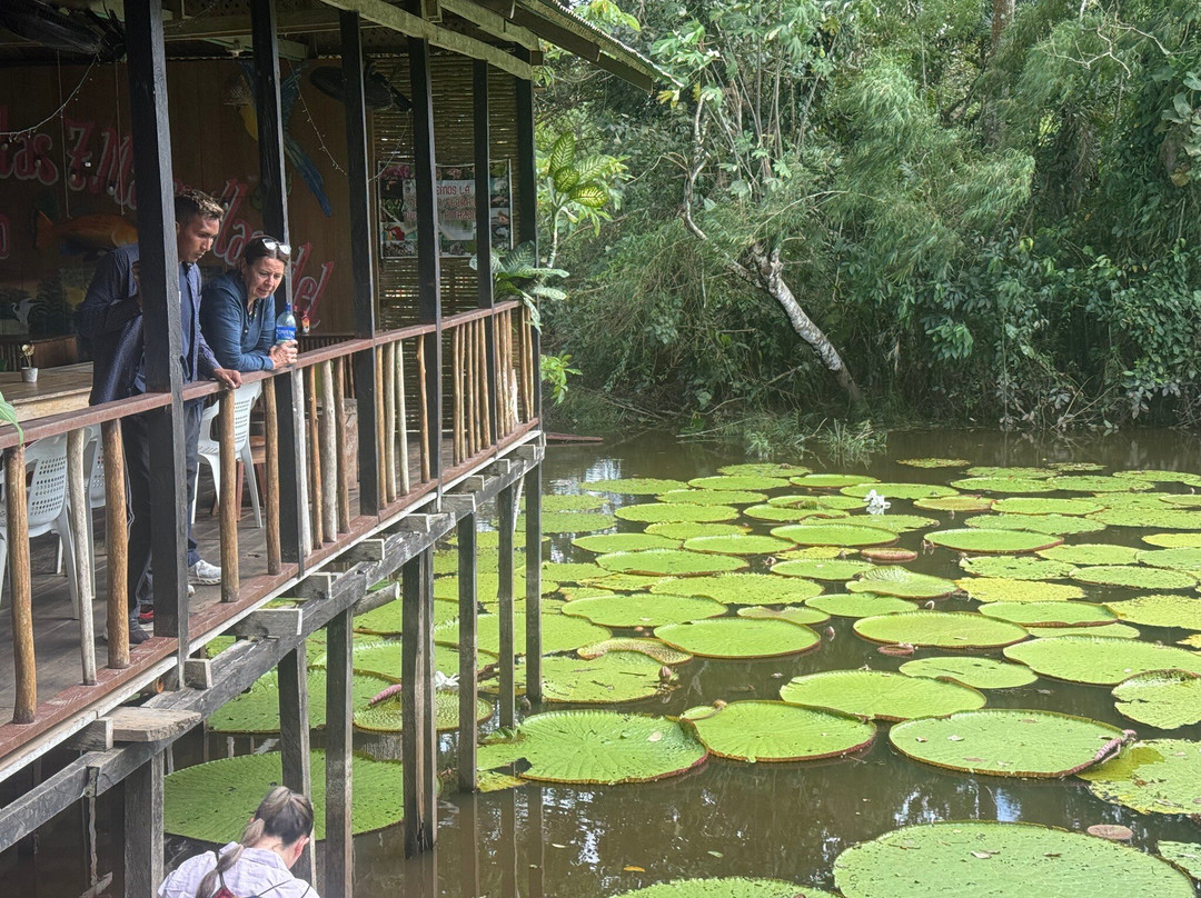 Amaselva Tours - Colombia Amazon-Puerto Narino必去景点