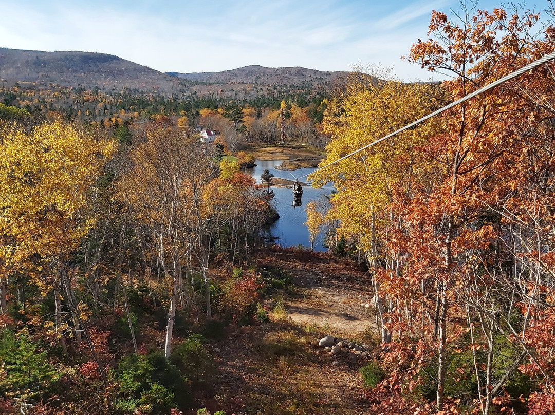 Mountain Pine Adventures-布雷顿角岛必去景点