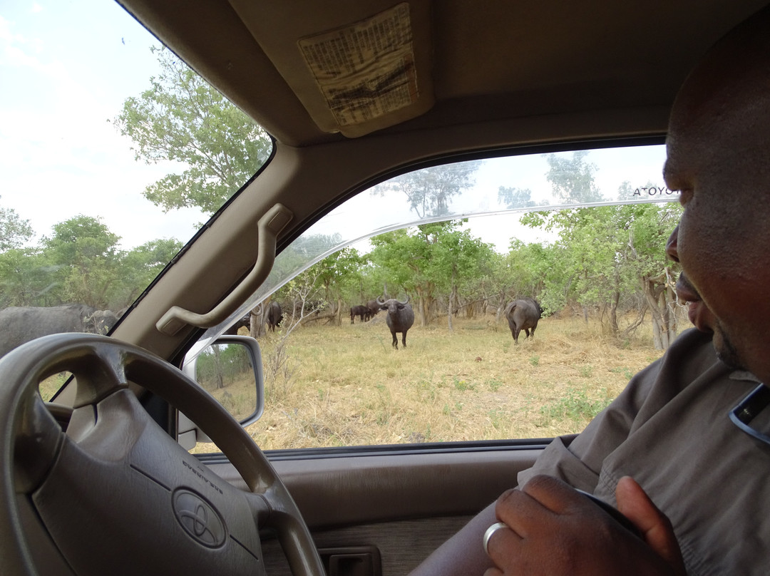 Spoor Tracker Adventures-null必去景点