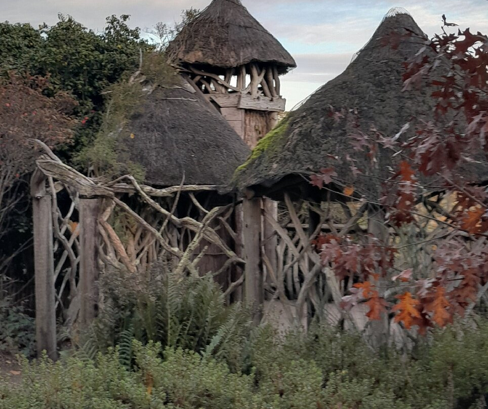 Furzey Gardens-Minstead必去景点