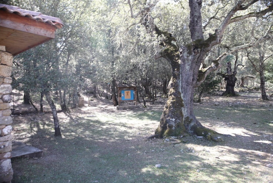 Le village des tortues-Moltifao必去景点