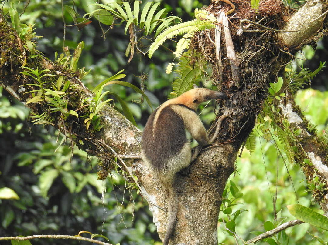 Costa Rica Focus-圣何塞必去景点