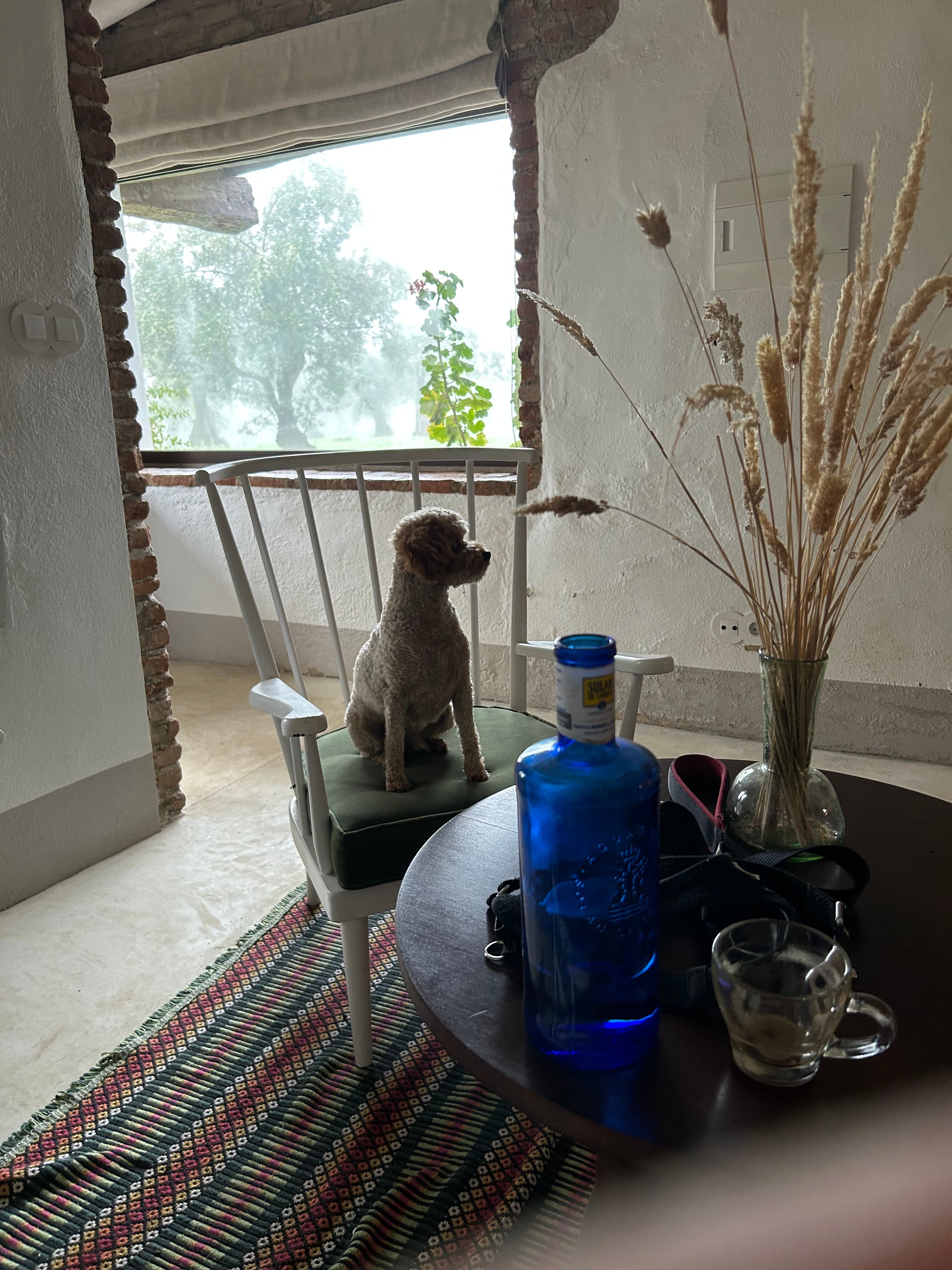 Finca El Azahar-官方