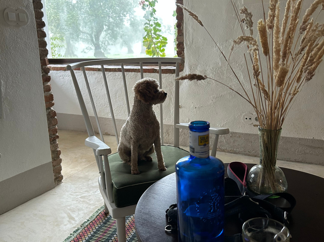 Finca El Azahar主图