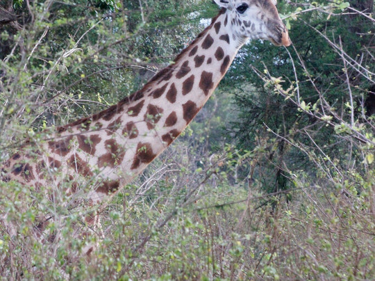 Filippo Bassa Marea-瓦塔木必去景点