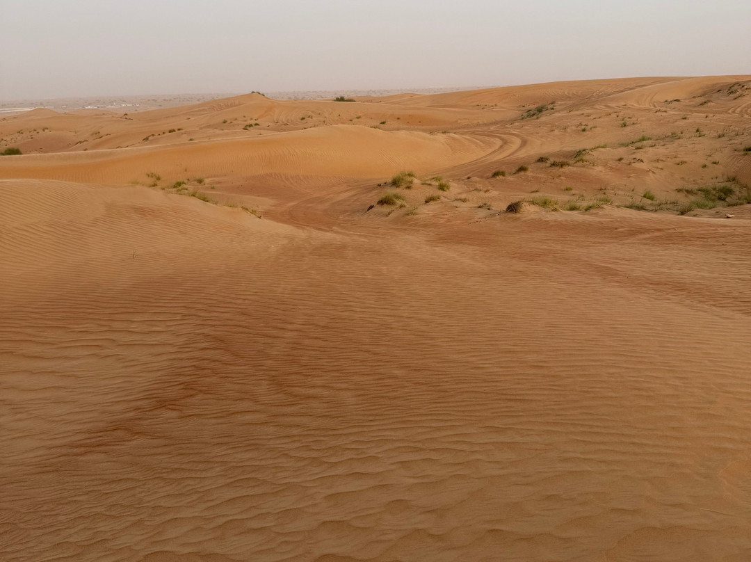 Khat Tours and Safaris-迪拜必去景点