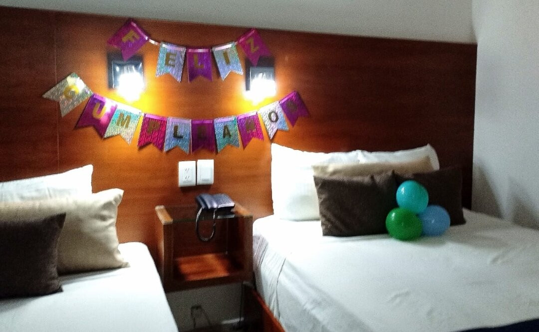 Hotel Del Carmen主图