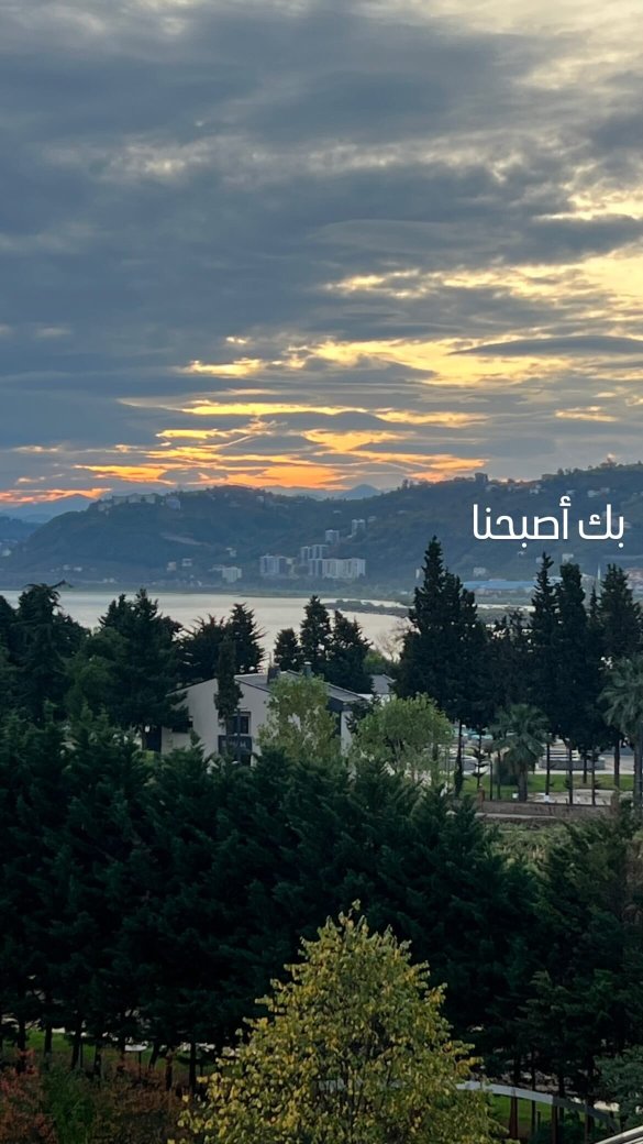 特拉布宗诺富特酒店-酒店景观