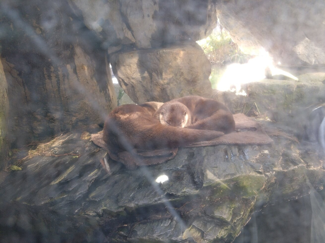 福岛水族馆-盘城市必去景点