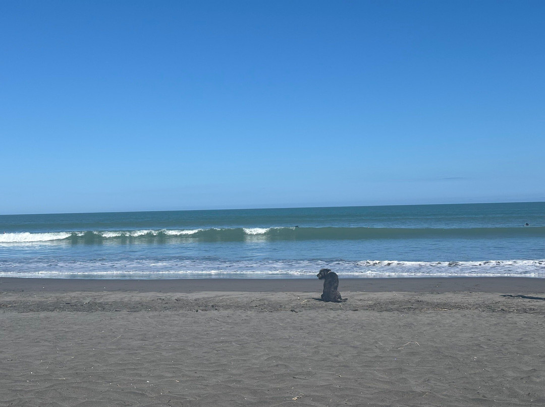 Raglan Surfing School-拉格伦必去景点
