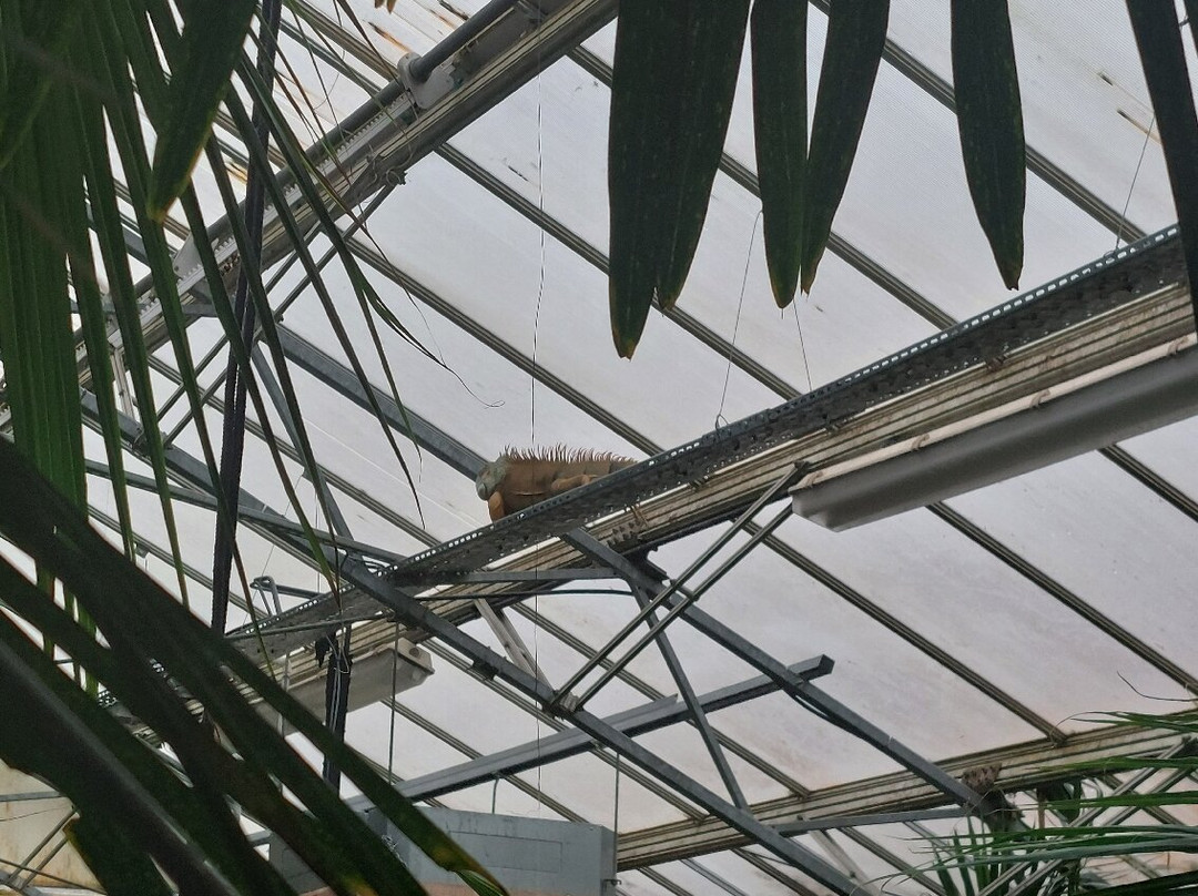 Bugtopia Hornsea Zoo-Hornsea必去景点