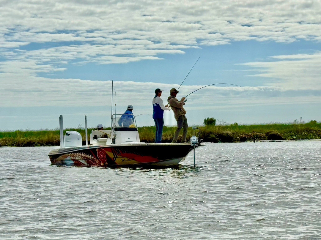 Bayou Charters-Saint Bernard必去景点