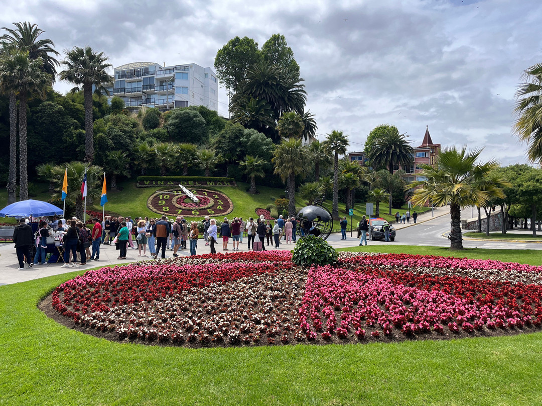 Flower Clock (Reloj de Flores)-比尼亚德尔马必去景点
