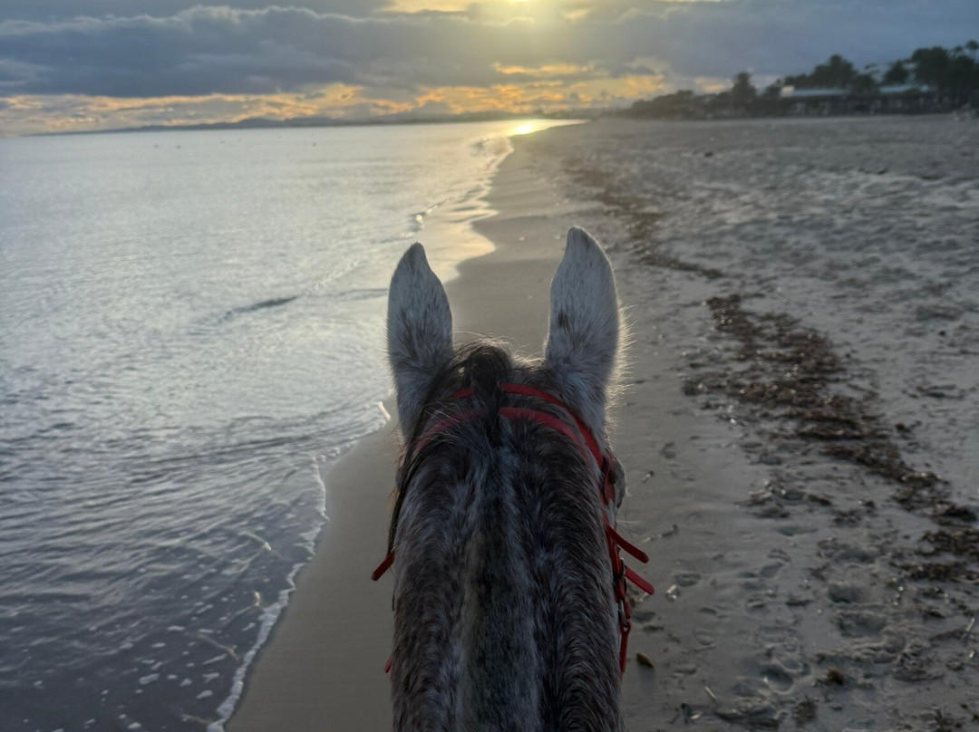 Club Equus Hammamet-哈玛麦德必去景点