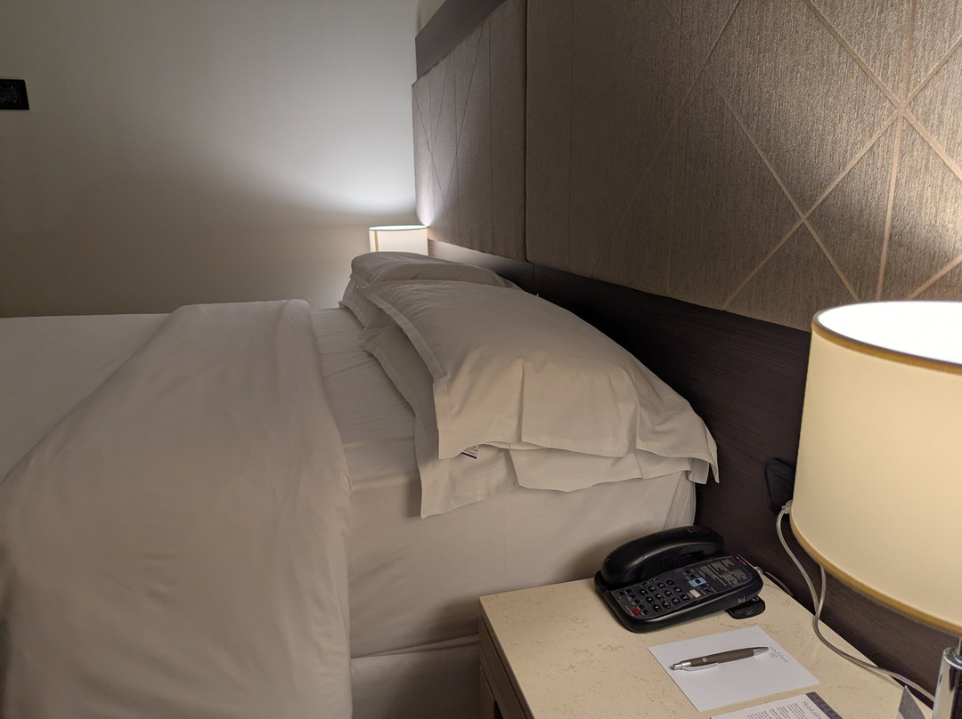 喜来登米兰马尔彭萨机场酒店及会议中心主图