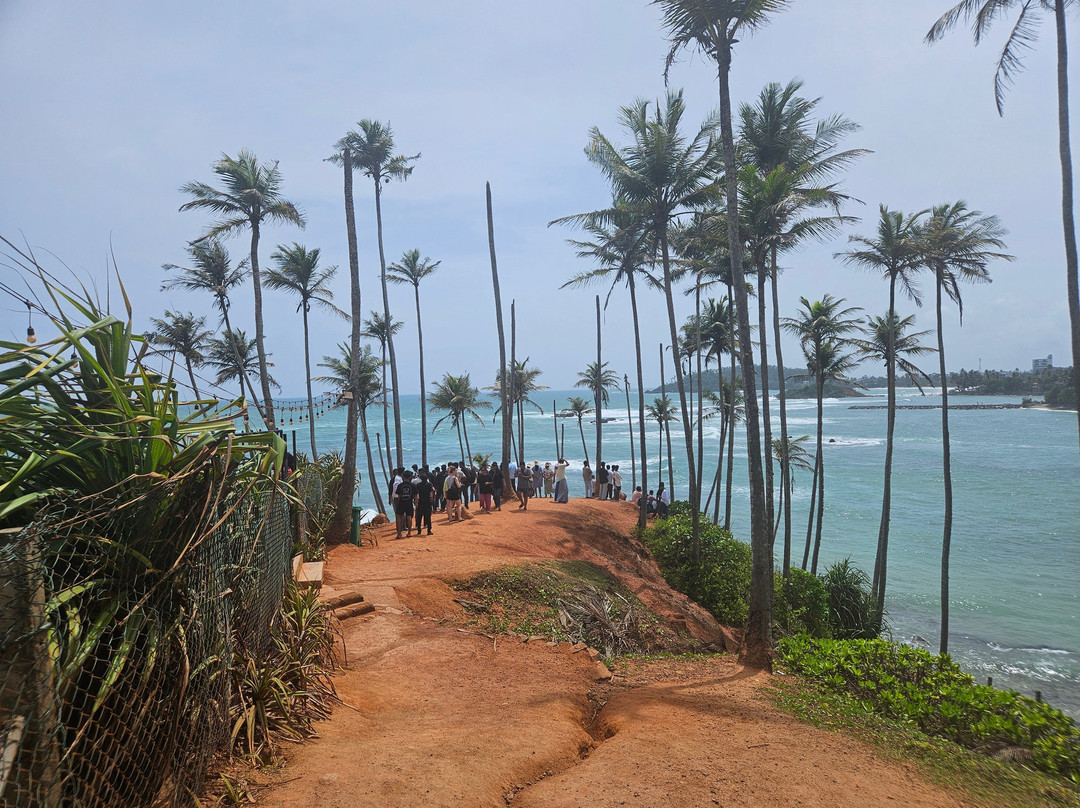 Coconut Tree Hill-美蕊沙必去景点