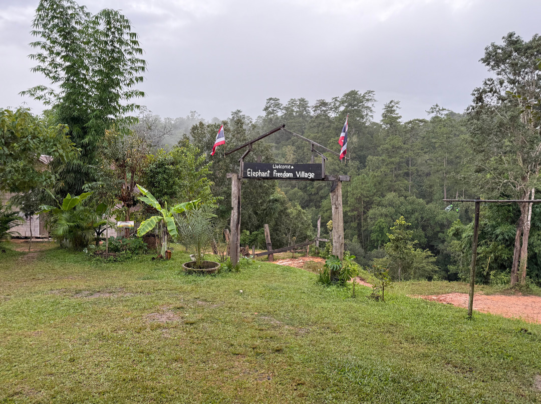 Elephant Freedom Village