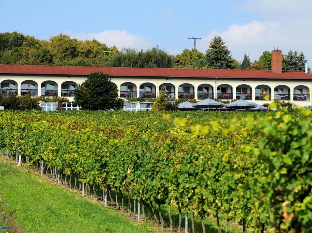 Freyburg酒店住宿-Hotel Rebschule