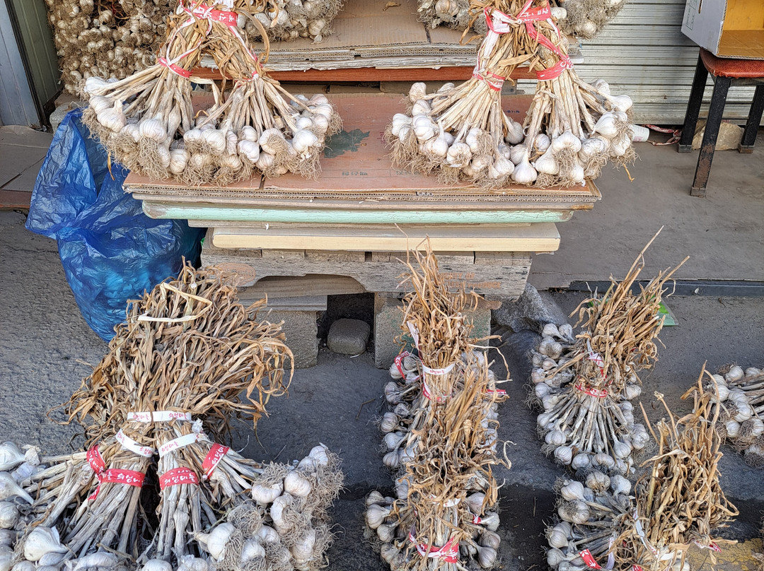 Nambu Market-全州市必去景点