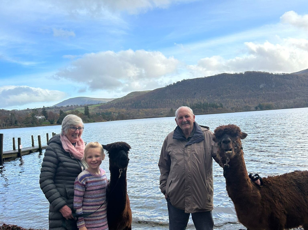 Alpacaly Ever After-Portinscale必去景点