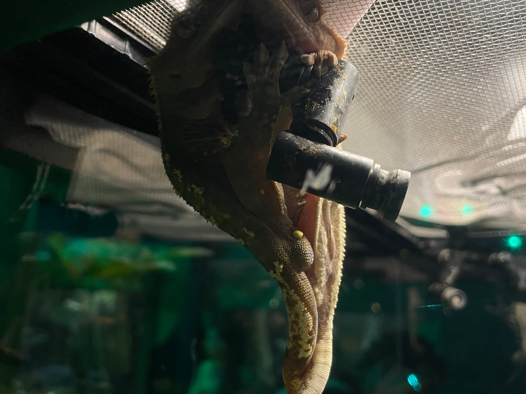 Acuario Michin Guadalajara-瓜达拉哈拉必去景点