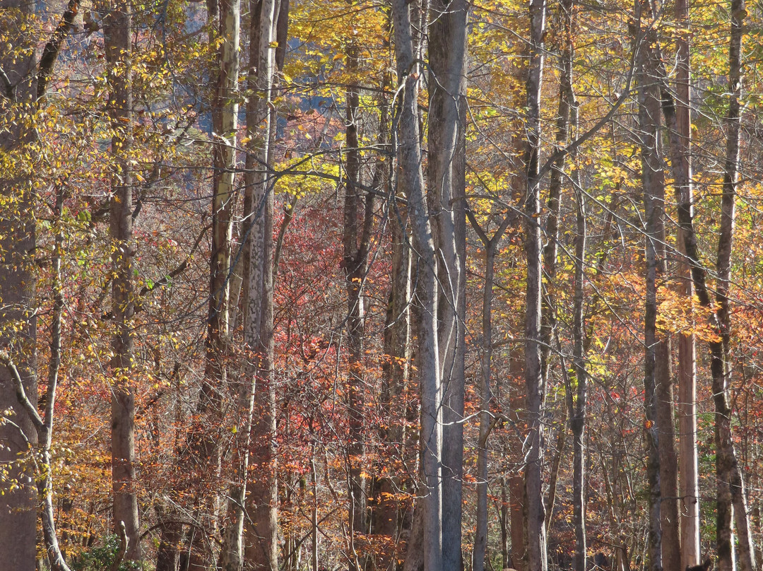 Oconaluftee Visitor Center-大雾山国家公园必去景点
