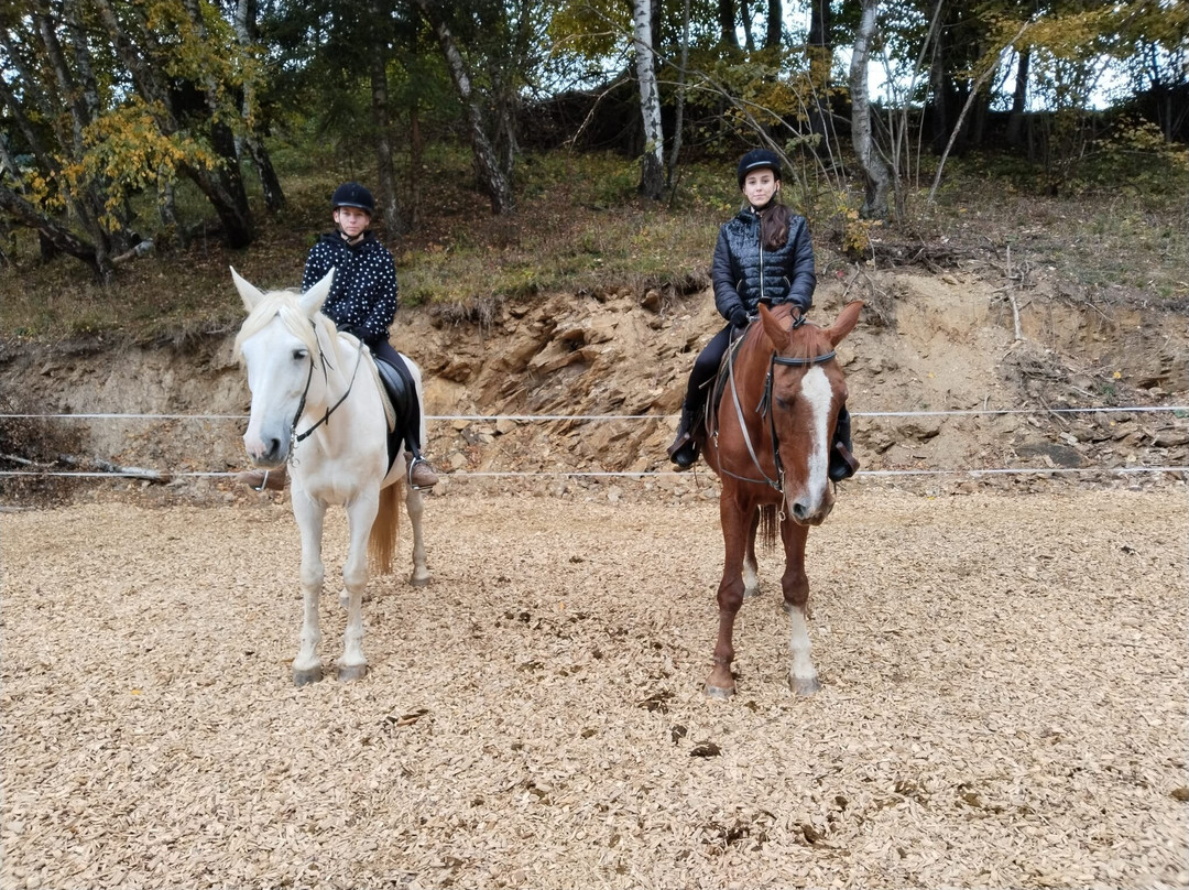 Diex酒店住宿-Gasthof Pension Gutmann