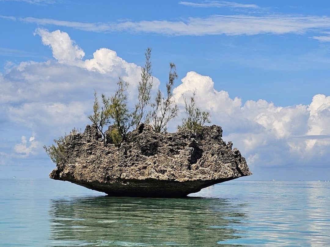 Yanature-黑河必去景点