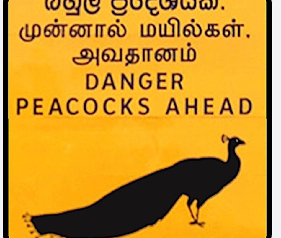 Sigiritrip Tours-锡吉里亚必去景点