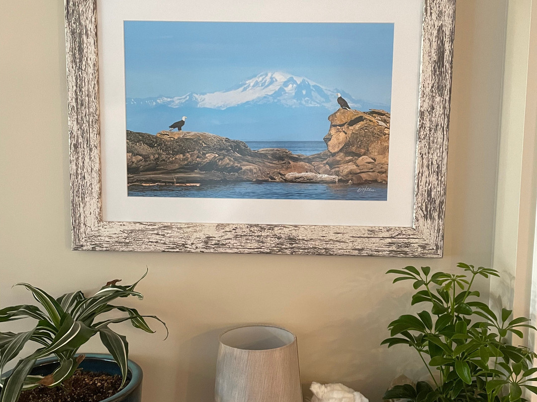 Dave Hutchison Images-Sidney必去景点