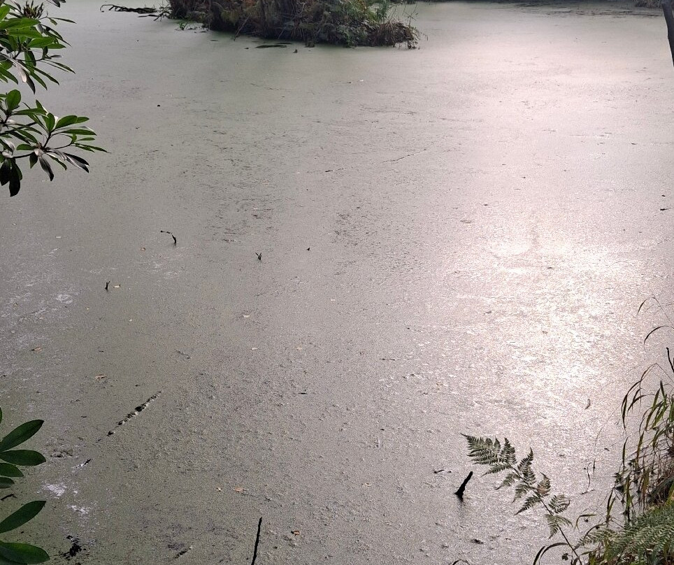 Conwy Water Gardens-Rowen必去景点