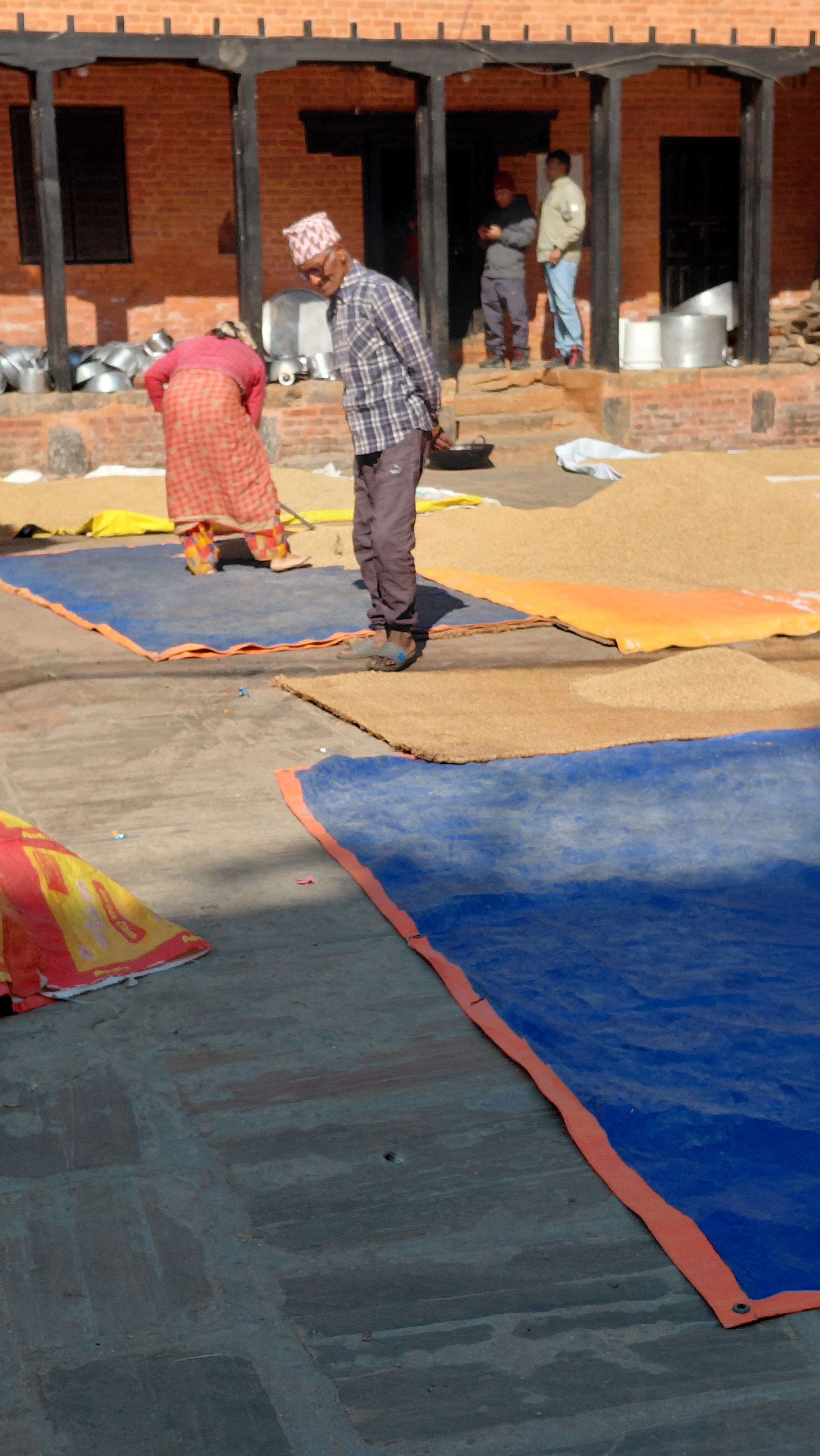 星球巴克塔布尔酒店-官方