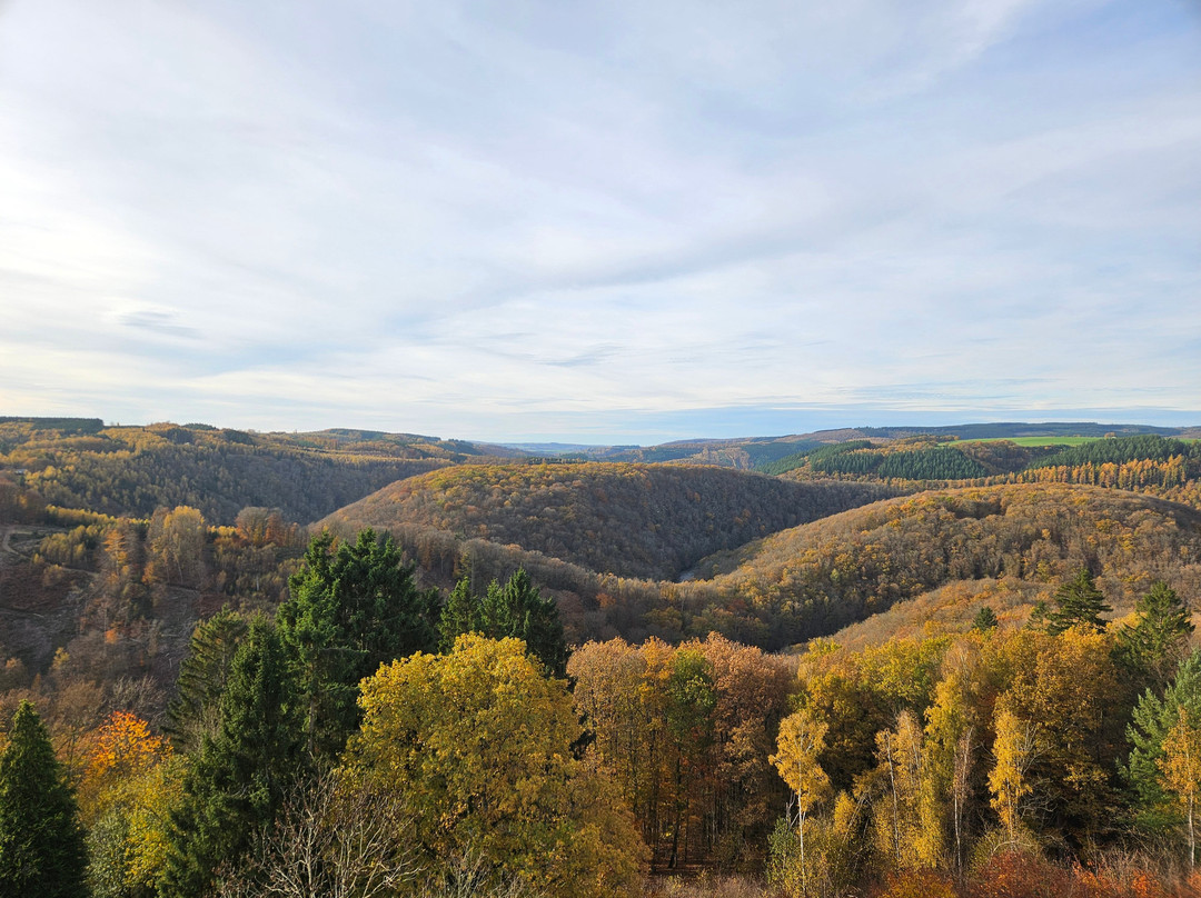 Chateau de La Roche-en-Ardenne-拉罗什—阿登必去景点
