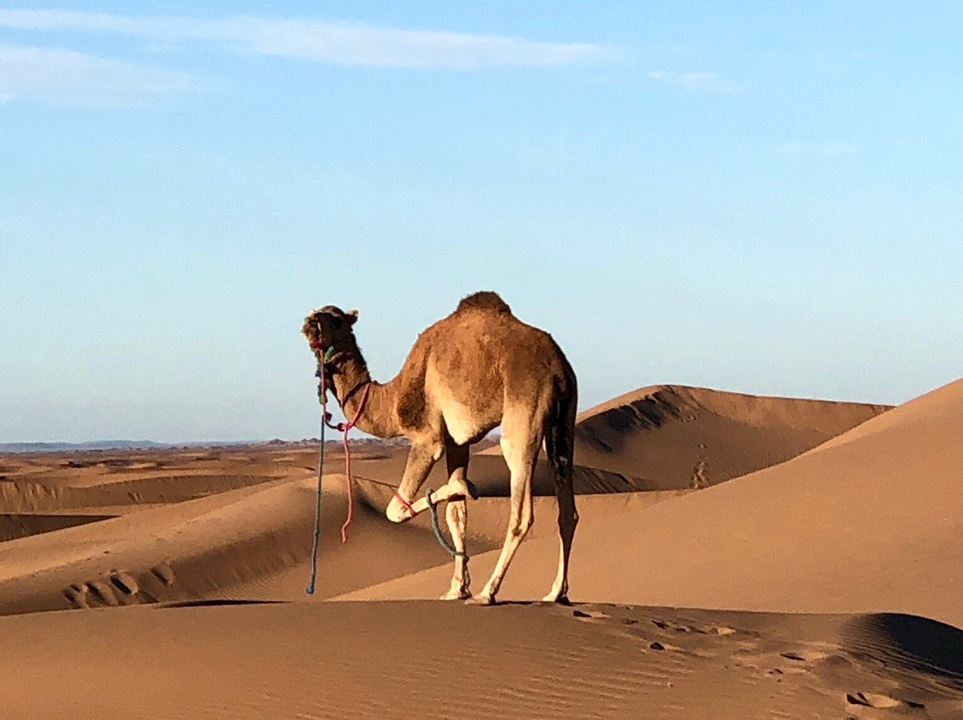 Escapades Berbères-马拉喀什必去景点