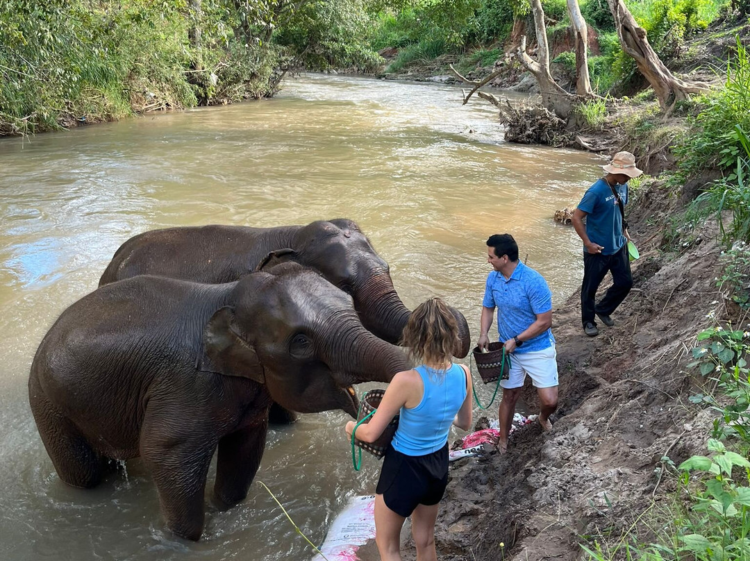 Elephant Sanctuary Care Park-清迈必去景点