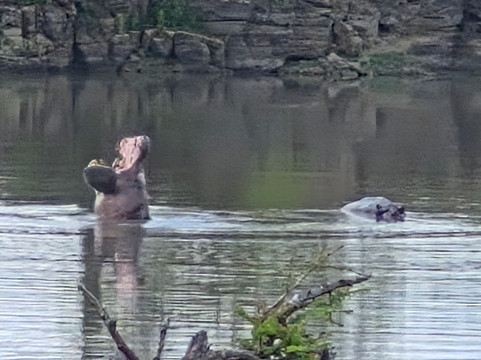 Moafrika Tours-霍德斯普鲁特必去景点