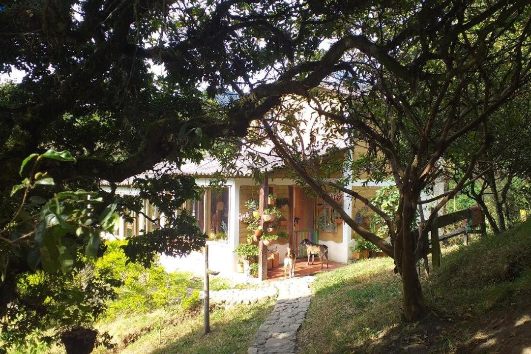 Granja Los Conejos