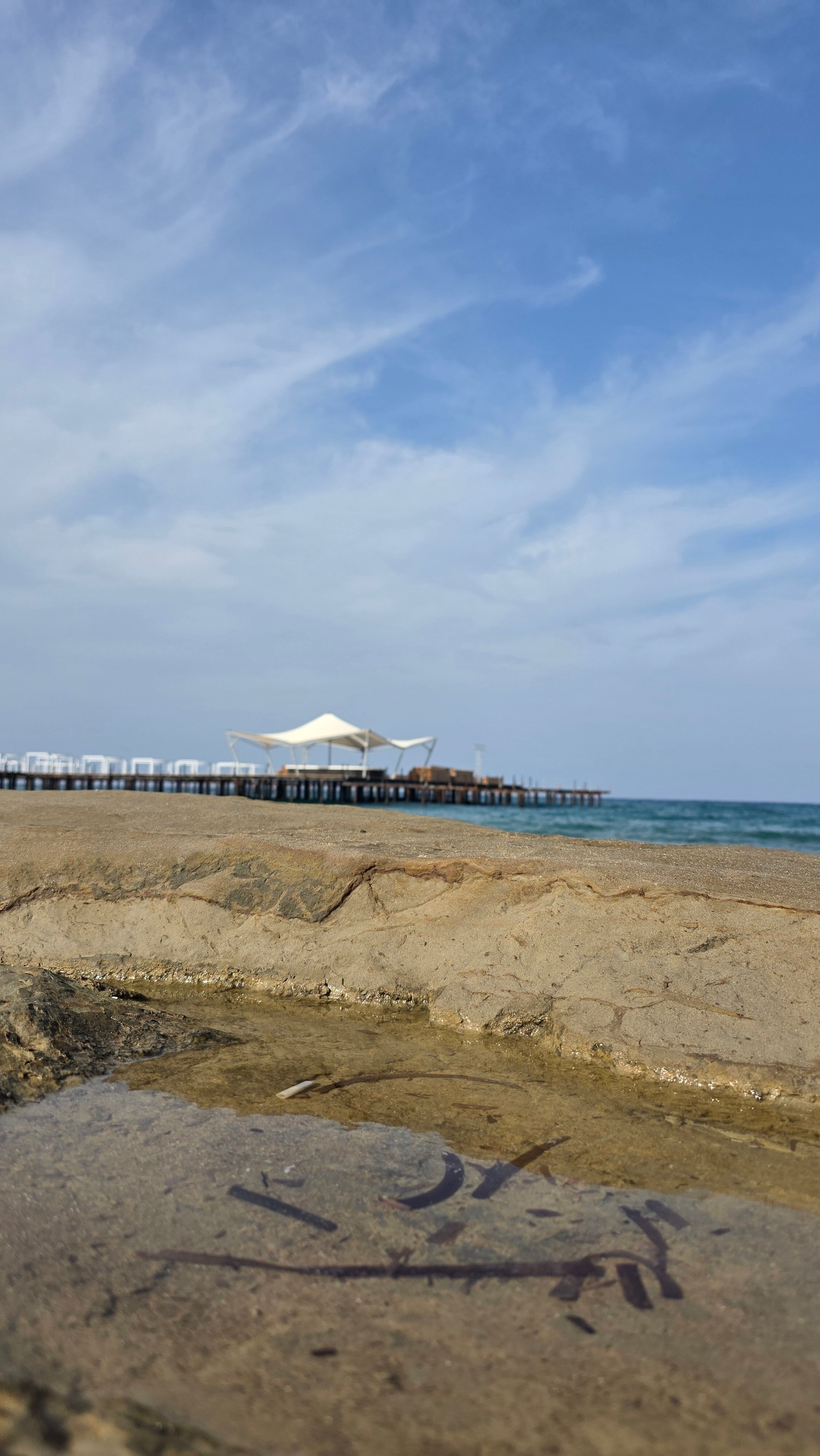 Elexus Hotel & Resort & Spa-官方