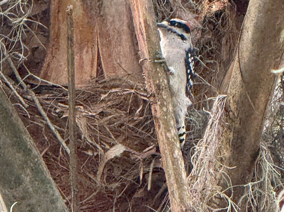 Circle B Bar Reserve-莱克兰必去景点